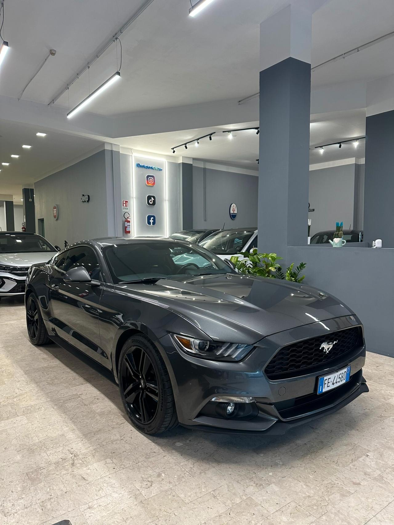 Mustang MUSTUNG