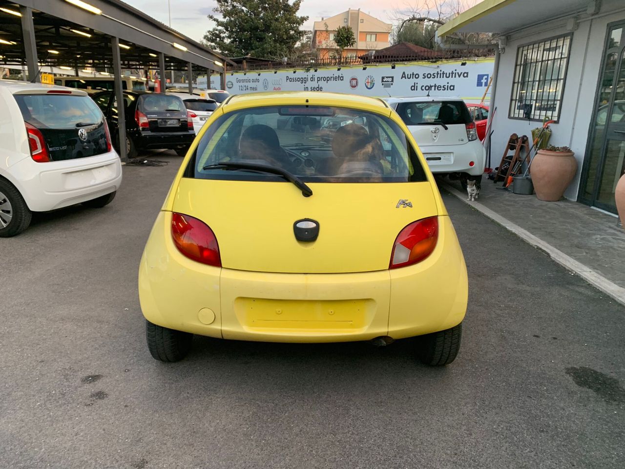 Ford Ka 2003 photo 3