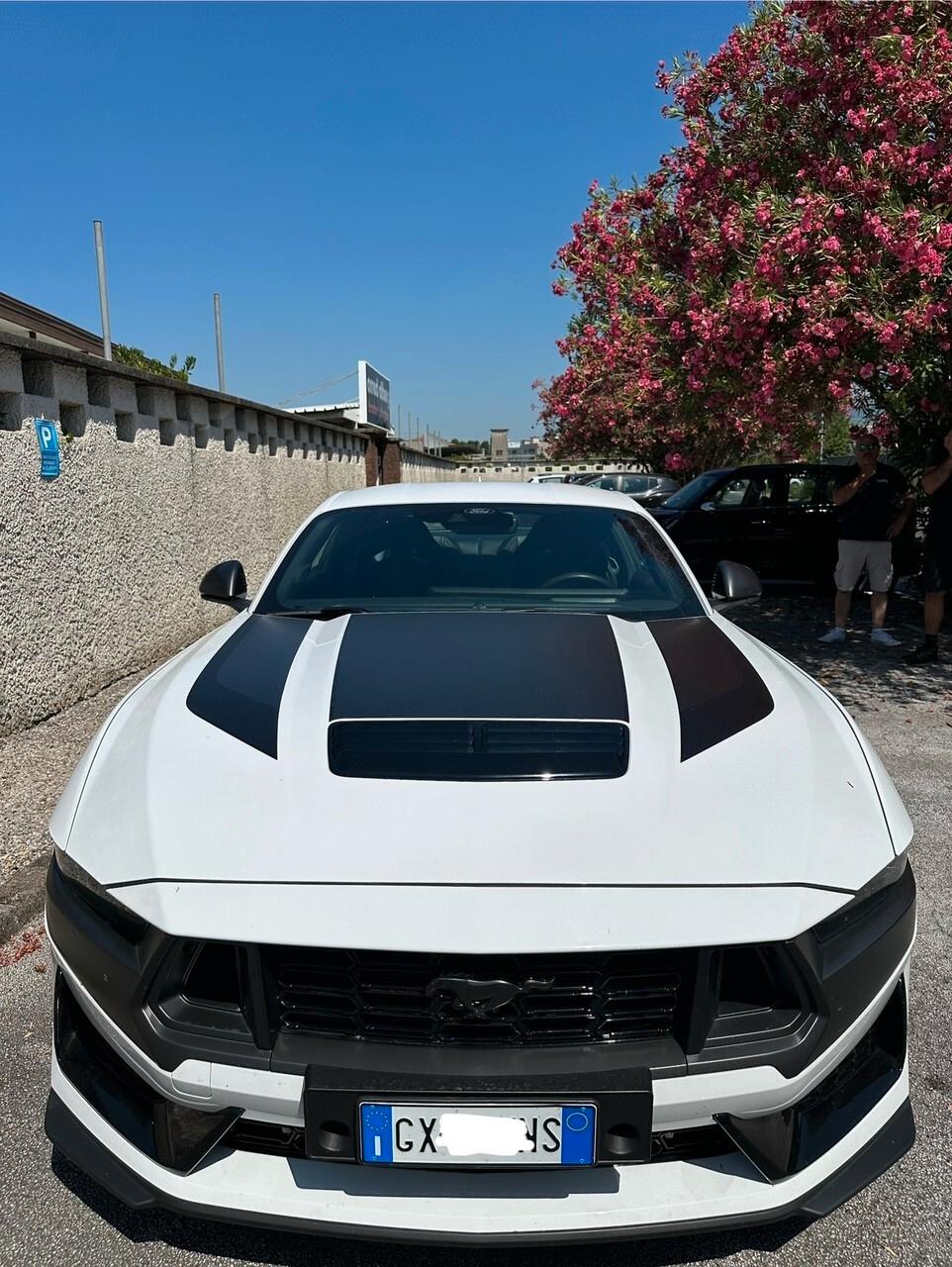Ford Mustang Fastback 5.0 V8 aut. Dark Horse