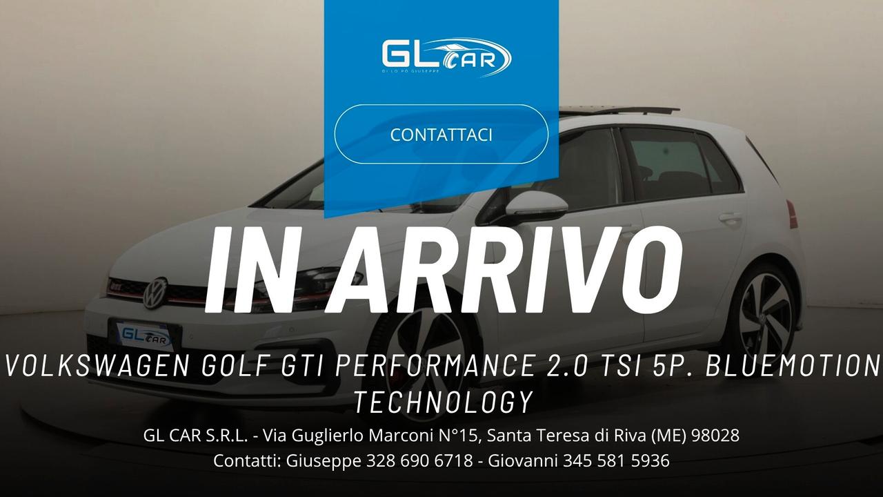 Volkswagen Golf GTI Performance 2.0 TSI 5p. BlueMotion Technology