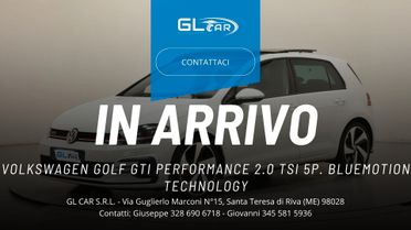 Volkswagen Golf GTI Performance 2.0 TSI 5p. BlueMotion Technology