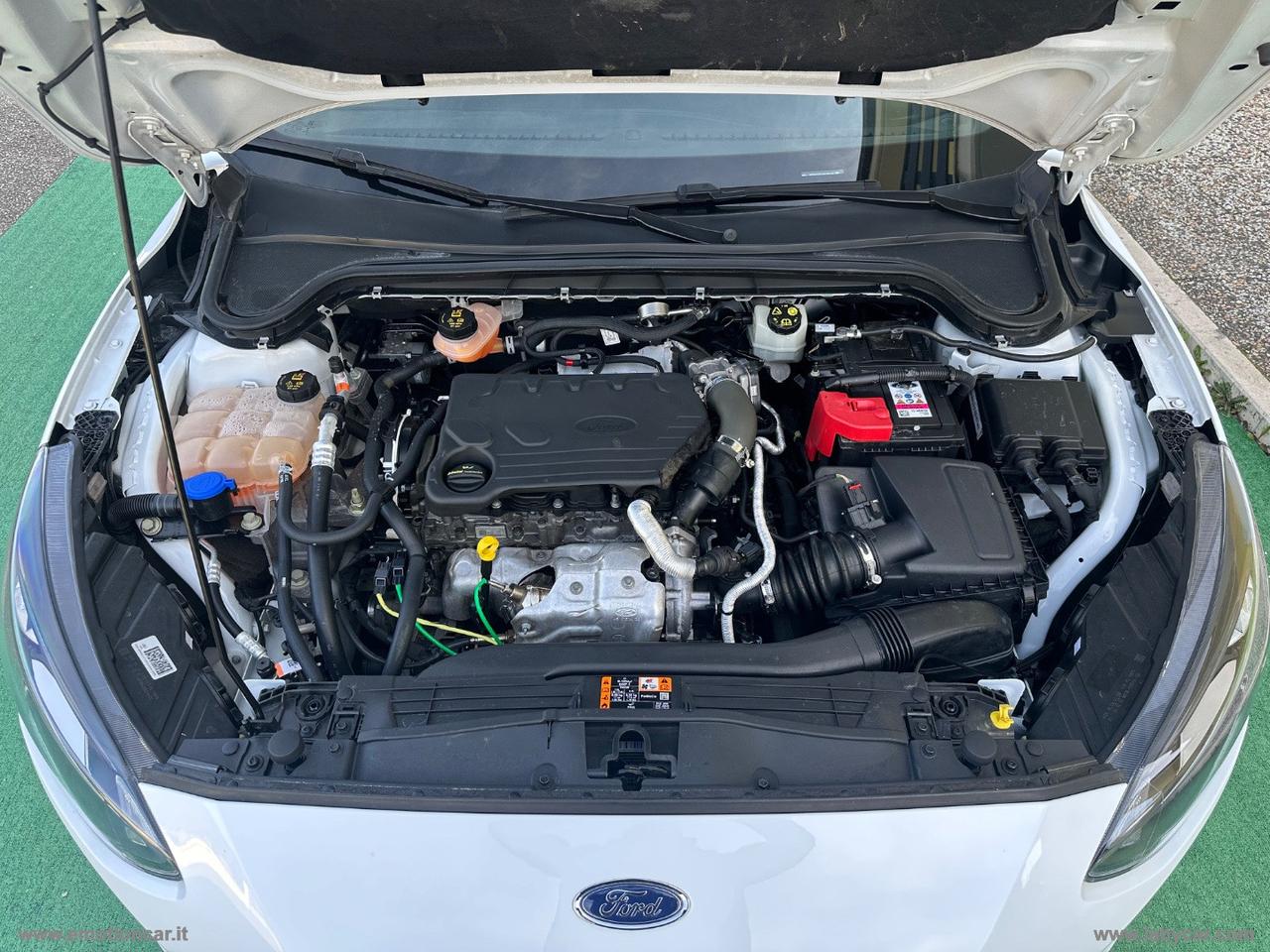 FORD Focus 1.5 EcoBlue 95CV 5p. Business AUTOCARRO N1 - 2020