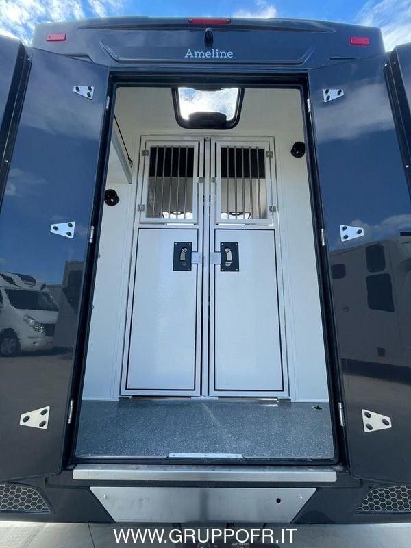 Renault Master RENAULT MASTER AMELINE 165 CV HARAS 5 POSTI NETTO IVA