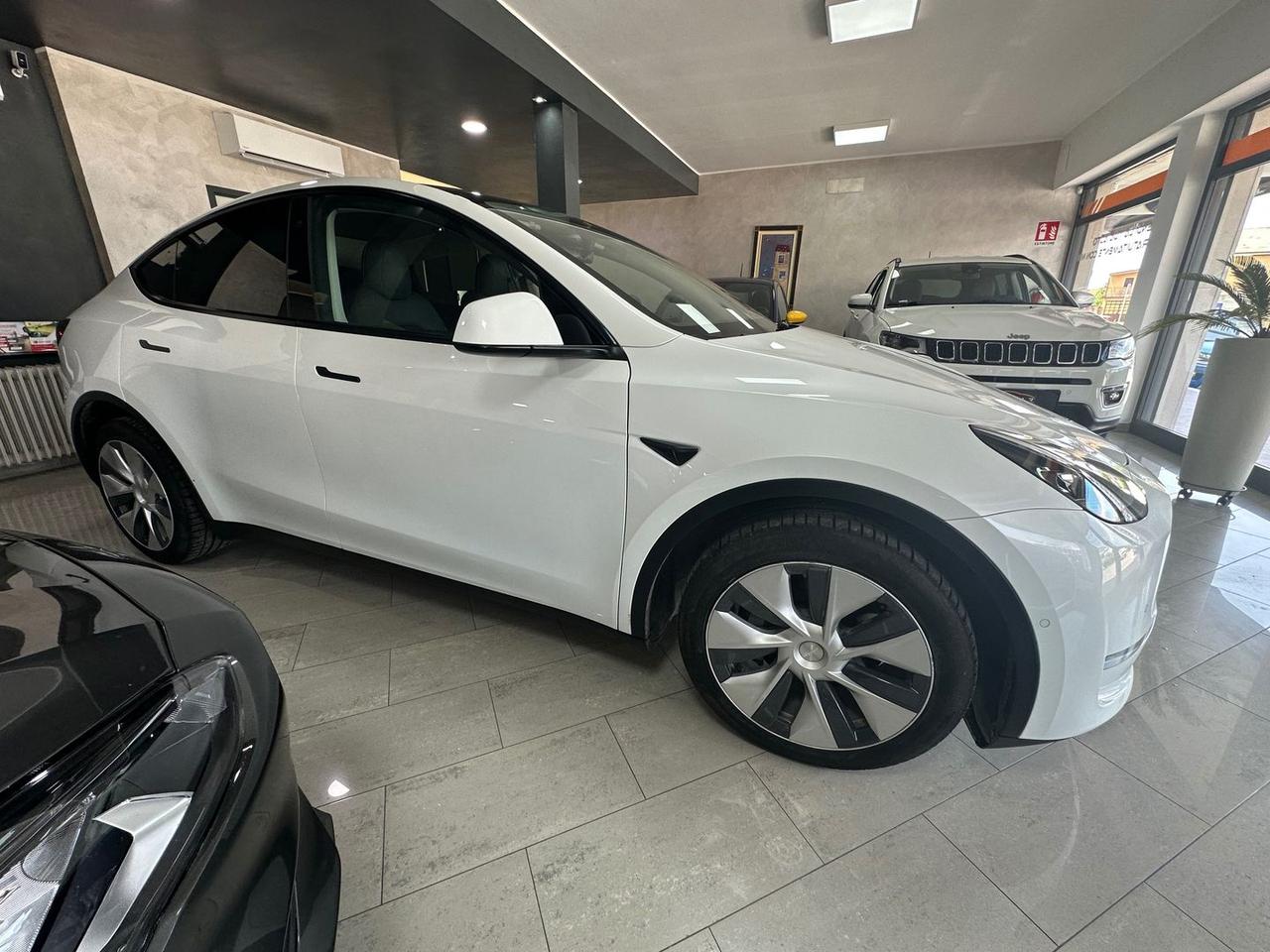 Tesla Model Y Long Range Dual Motor AWD #6076