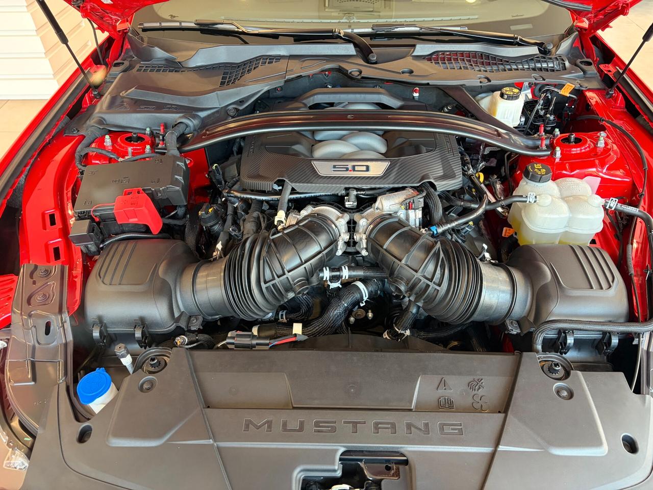 Ford Mustang Convertible GT 5.0 V8 Automatico a 10 rapporti