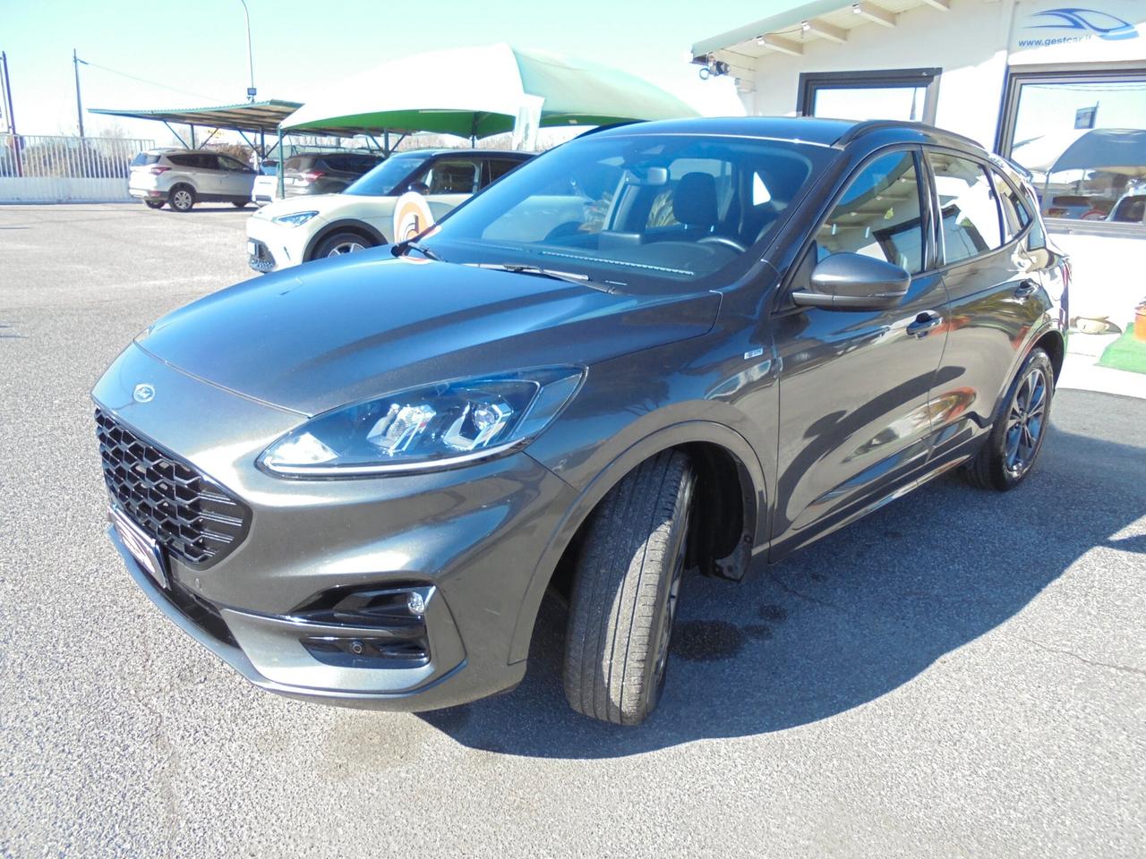 Ford Kuga 1.5 EcoBlue 120 CV 2WD ST-Line