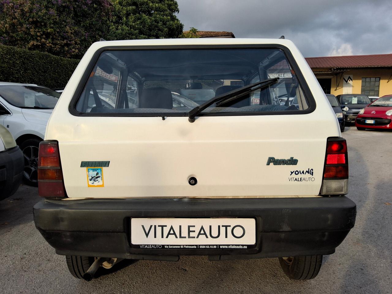 Fiat Panda 900 i.e. cat Young