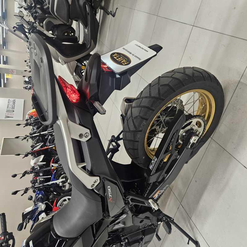Honda Transalp XL750 - 2025