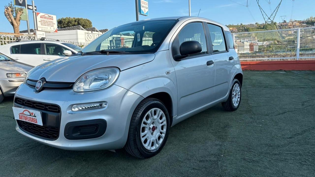 Fiat Panda 1.2 312PXA1A | BENZINA 2012/01-2020/01 169A4000 CC 1242 CV 69 KW 51 BERLINA, 5 P. (92816