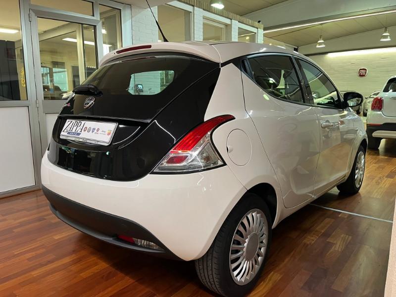 LANCIA Ypsilon 1.2 69 CV 5 porte Elefantino