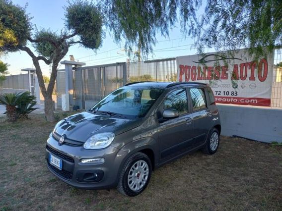 FIAT - Panda - 1.2 Lounge