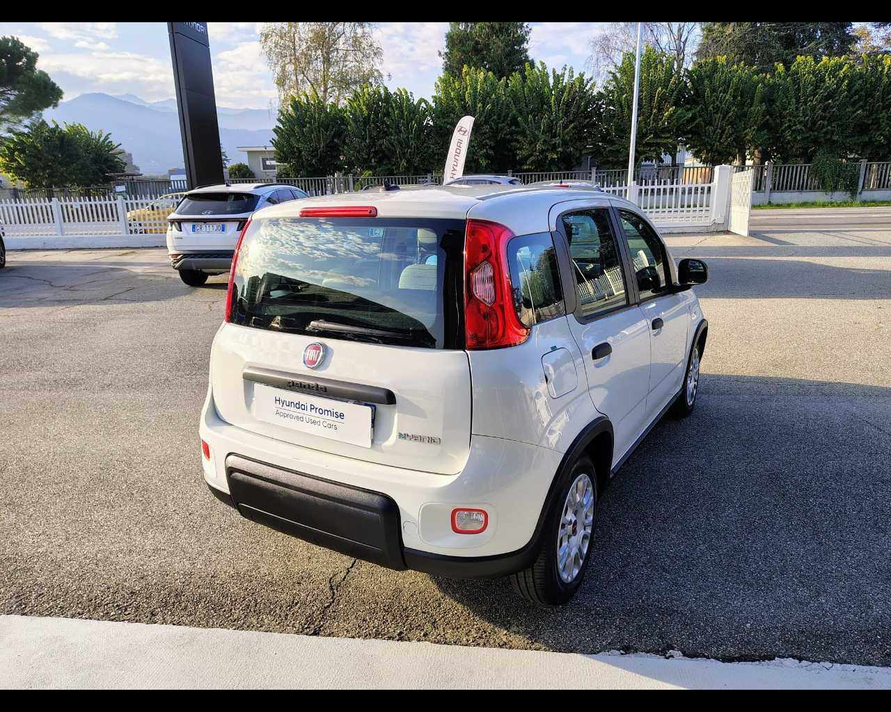 FIAT Panda III 2021 - Panda 1.0 firefly hybrid s&s 70cv