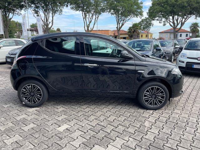 LANCIA Ypsilon 1.0 FireFly 5 porte S&S Hybrid Oro VARI COLORI