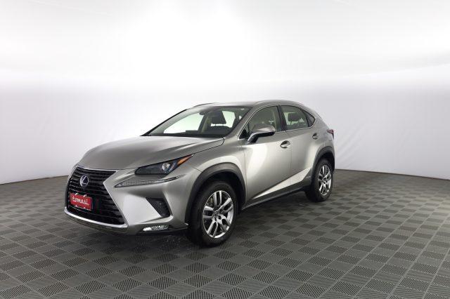 LEXUS Other NX NX Hybrid Business