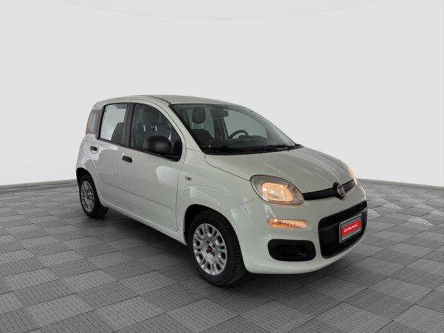 FIAT Panda Panda 1.0 FireFly 70cv S&S Hybrid E6d-Final EASY