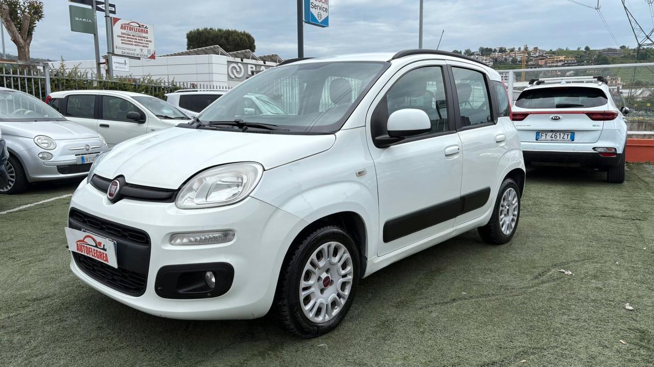 Fiat Panda 1.2 312PXA1A | BENZINA 169A4000 CC 1242 CV 69 KW 51 BERLINA, 5 P. (92816