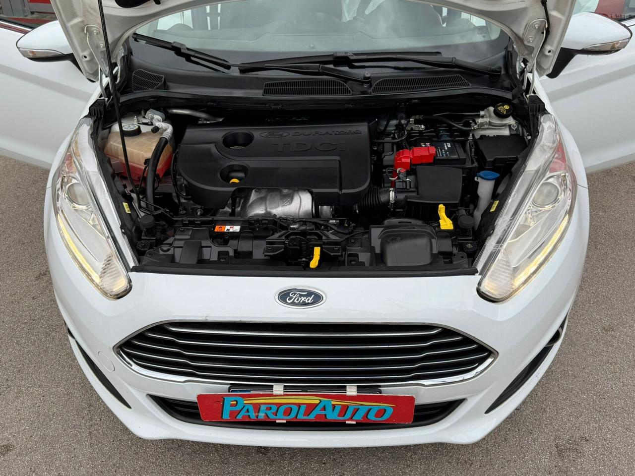 Ford Fiesta 1.5 TDCi 75cv Titanium - 2013