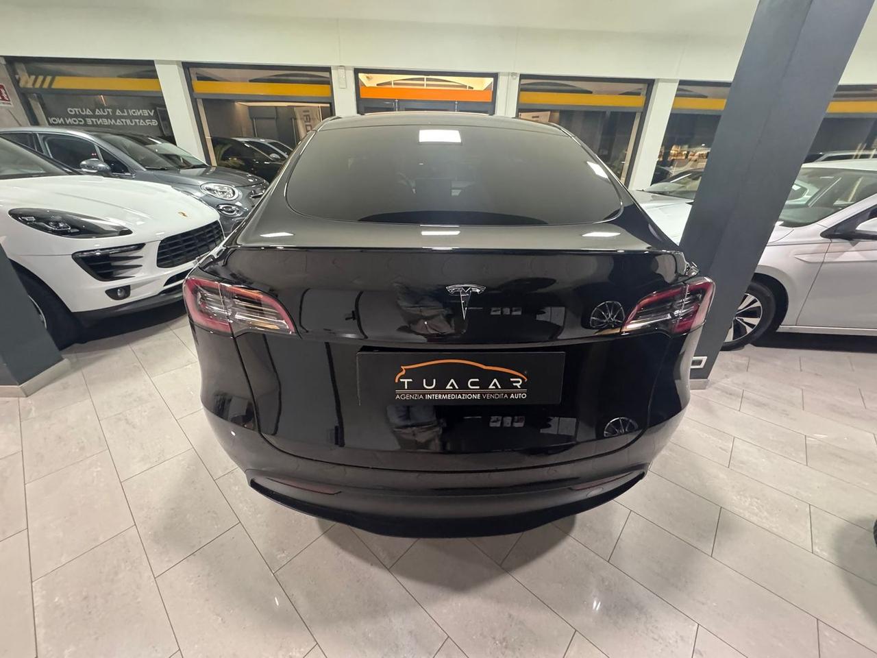 Tesla Model Y -- Standard Range / Standard S #8355