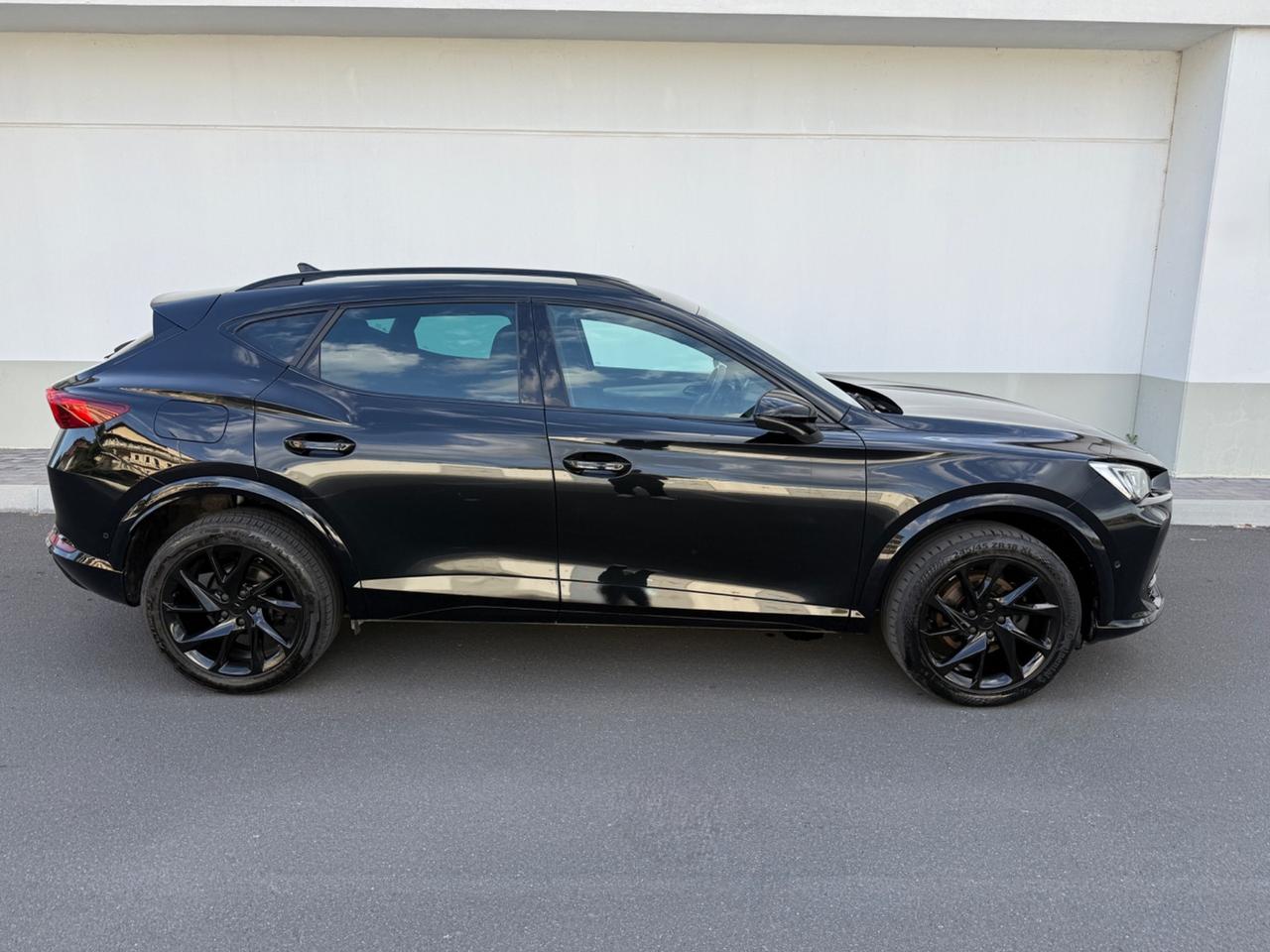 Cupra Formentor 2.0 TDI 4Drive DSG