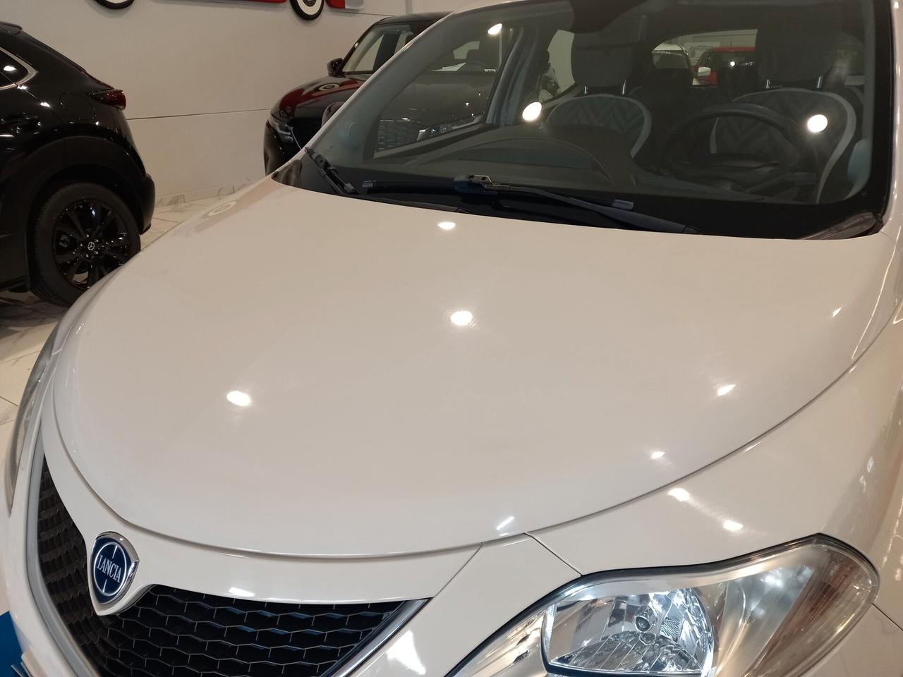 Lancia Ypsilon 1.2 69 CV 5 porte 77000 km Neopatentati