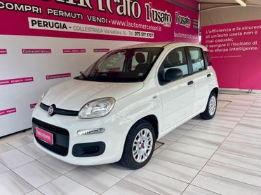FIAT Panda 3ª serie Panda 1.2 Easy