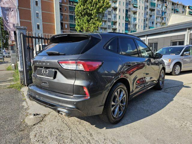 FORD Kuga 1.5 EcoBlue 120 CV 2WD ST-Line