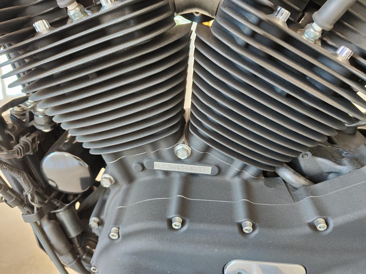 Harley-davidson 1200 Sportster Forty-Eight