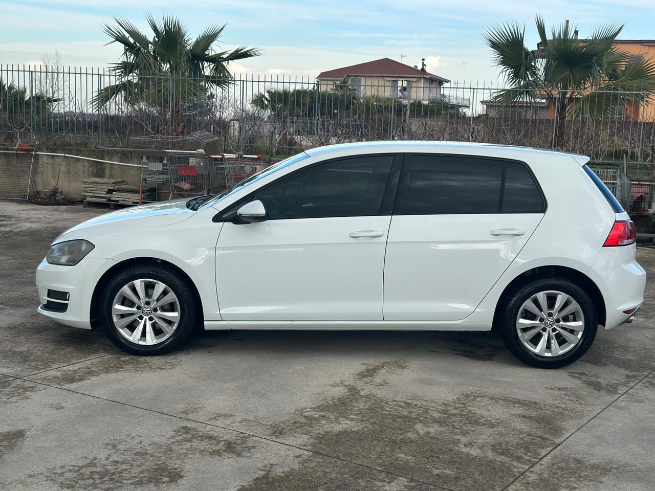 Volkswagen Golf 7 1.6 TDI 105cv 5p. BlueMotion