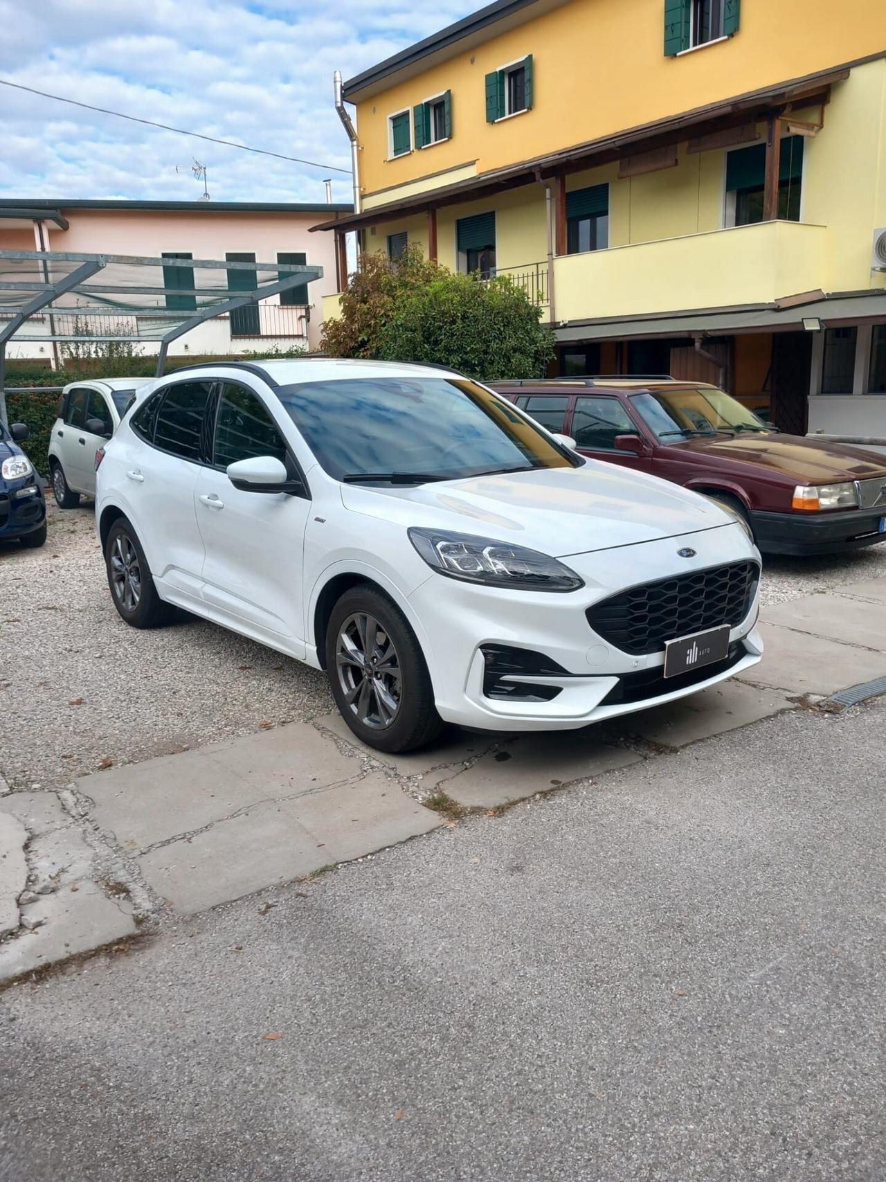 Ford Kuga 1.5 EcoBlue 120 CV 2WD ST-Line