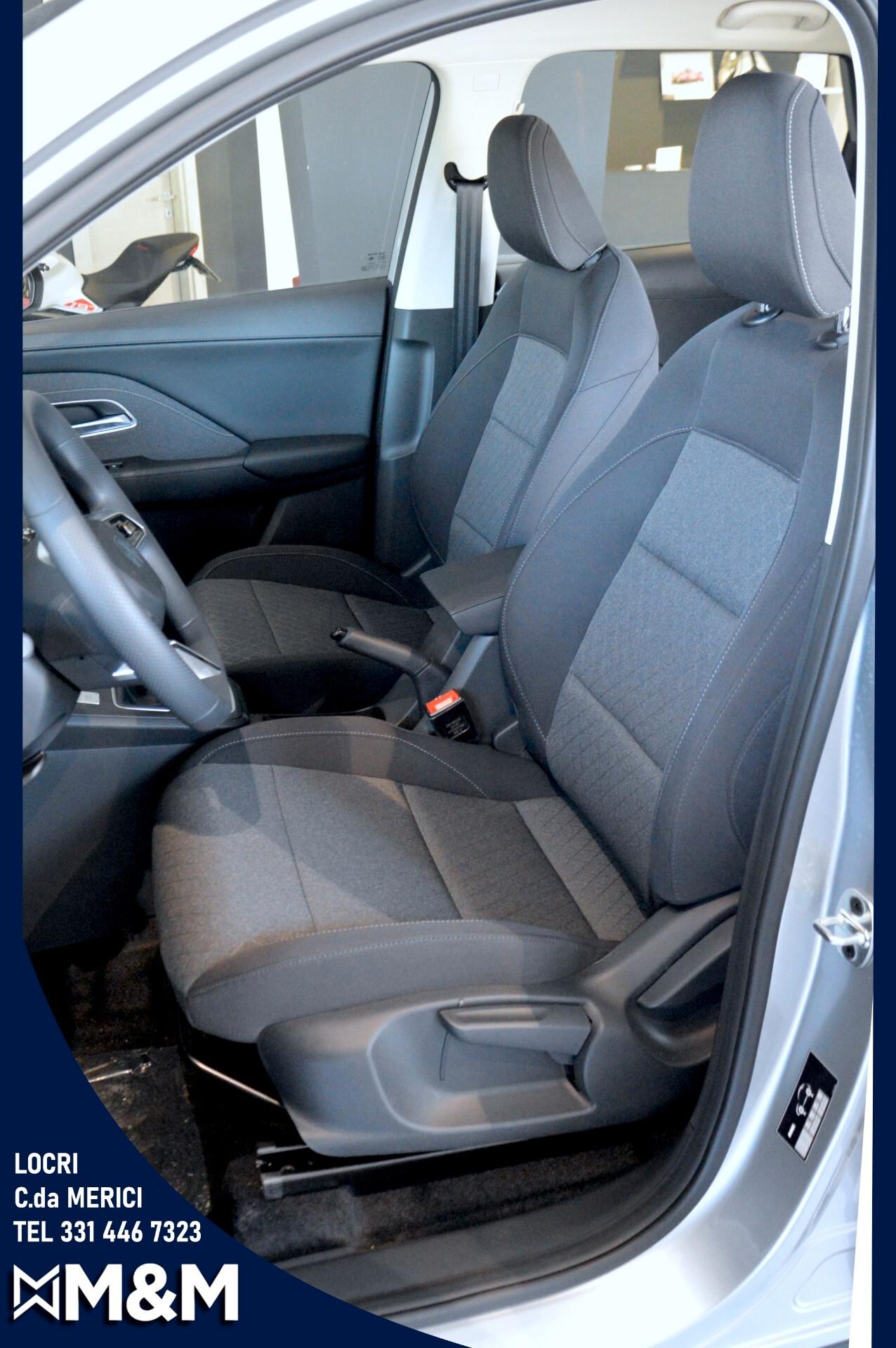Mg ZS ICE STANDARD