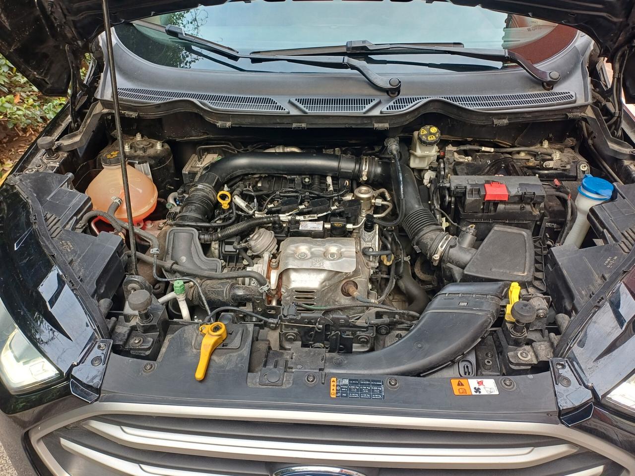 Ford EcoSport 1.0 EcoBoost 125 CV EURO 6 Start&Stop . Business