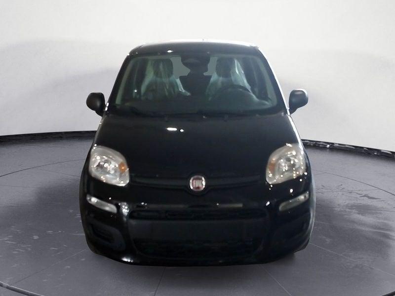 FIAT Panda NEW My25 1.0 70cv Hybrid Panda