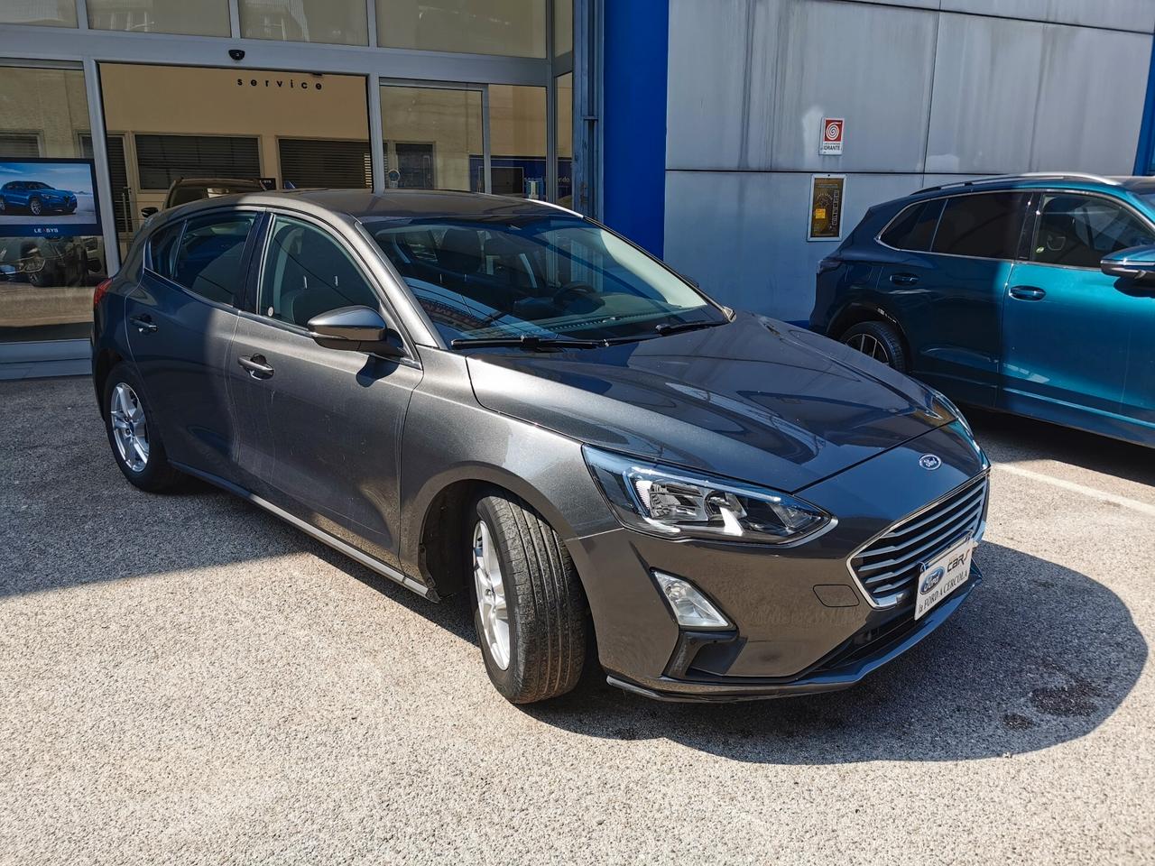Ford Focus 1.5 EcoBlue 120cv 5p. Business