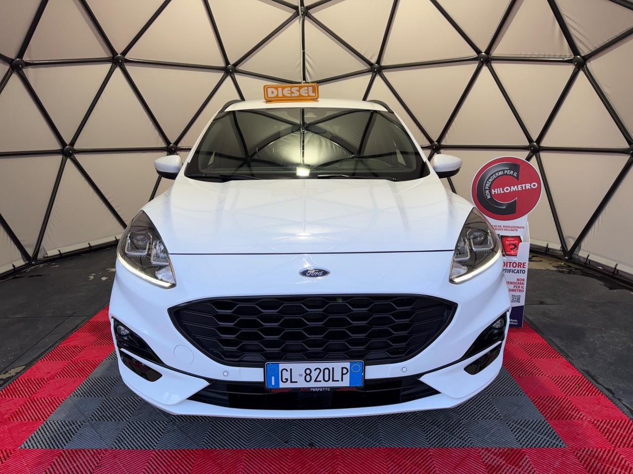 Ford Kuga 1.5 EcoBlue 120 CV 2WD ST-Line