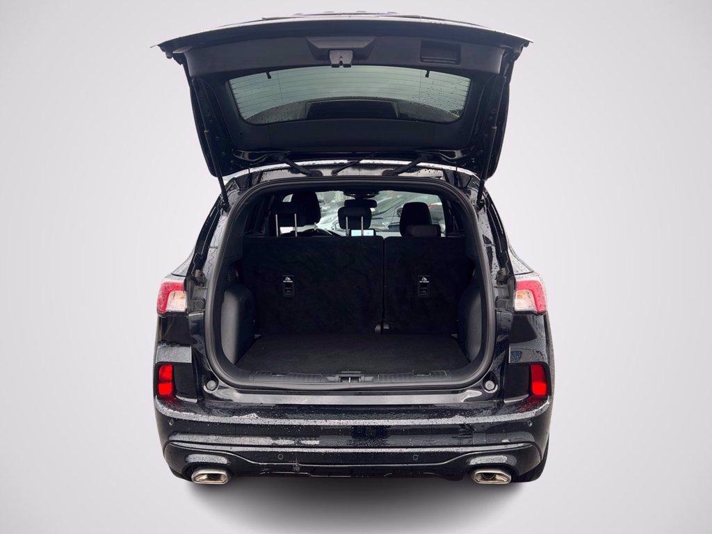 FORD Kuga 1.5 EcoBlue 120 CV aut. 2WD ST-Line del 2022