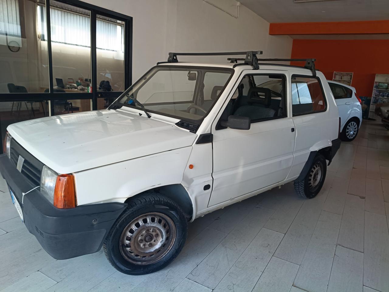 Panda 1100 i.e. cat Young 2001