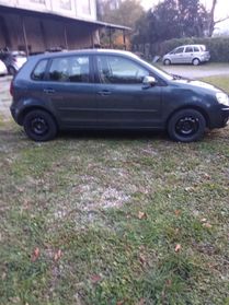 Volkswagen Polo 1.2 5porte