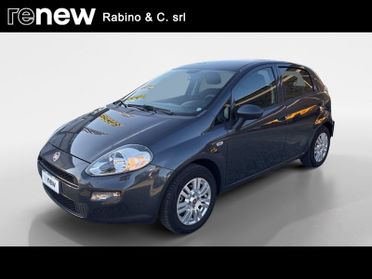 FIAT Punto 1.2 8V 5 porte Street + impianto GPL