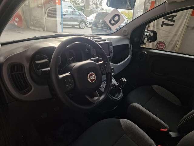 Fiat Panda Panda III 2021 1.0 firefly hybrid City Life s