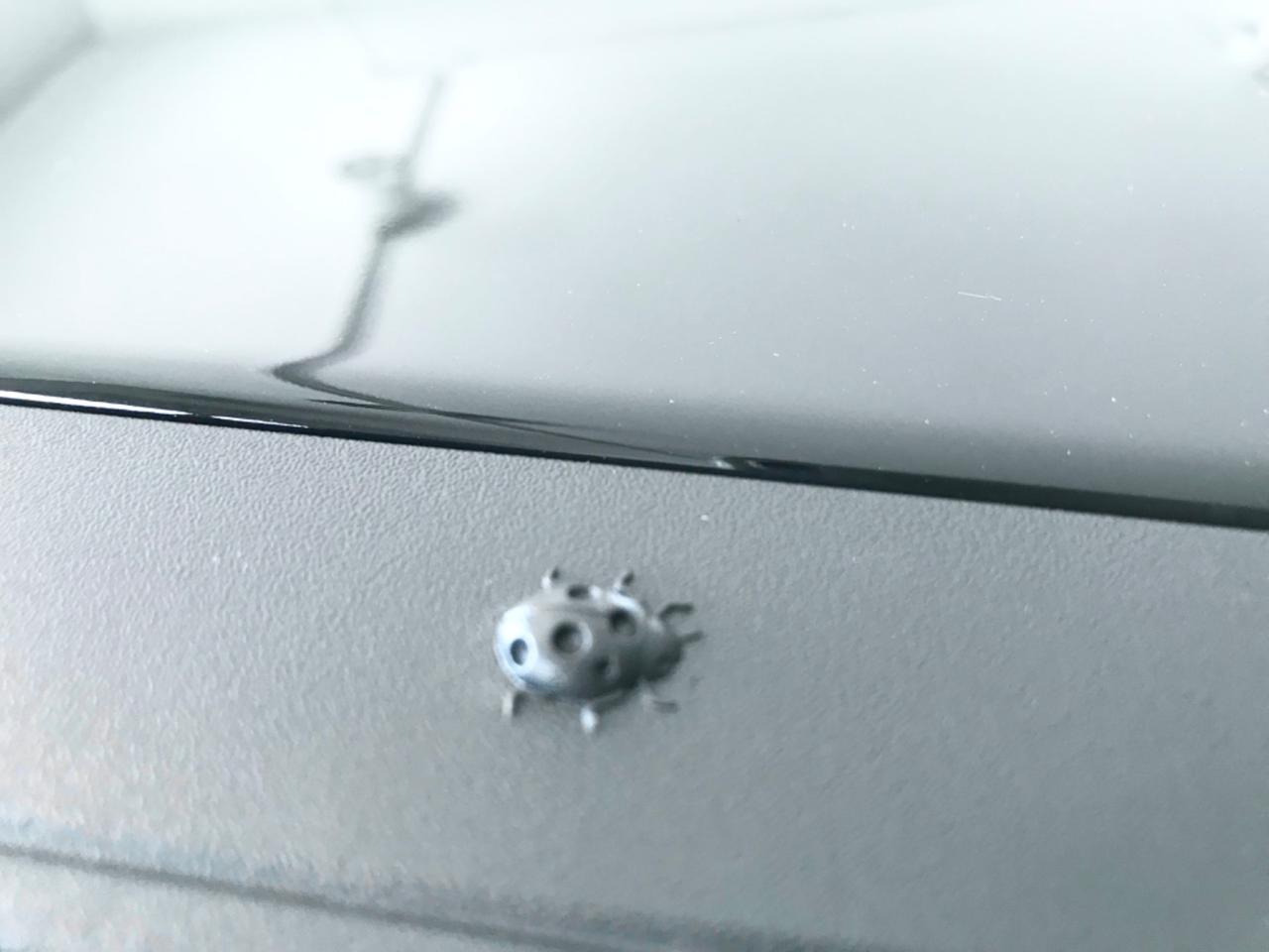 Jeep Avenger 1.2 Turbo 100 CV Longitude