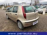 Fiat Punto Classic 1.3 MJT 5 porte Active