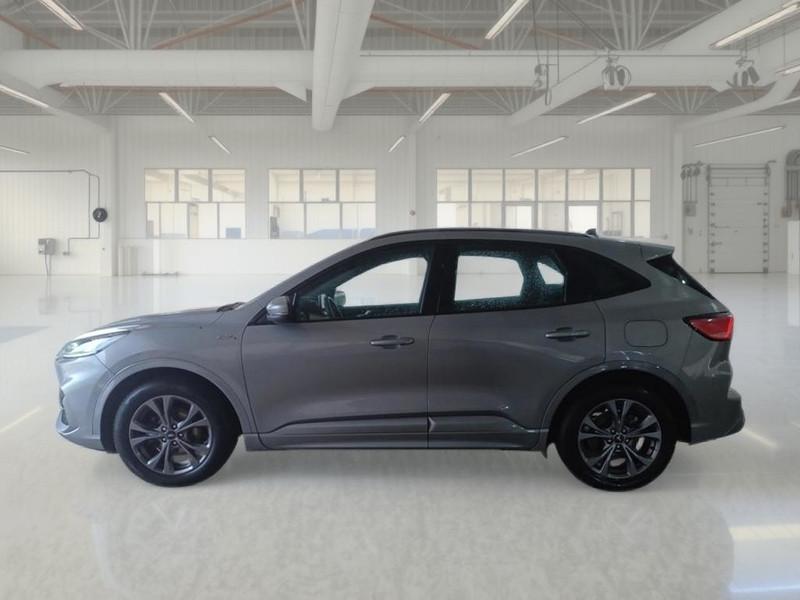 FORD KUGA 1.5 ECOBLUE 120 CV 2WD ST-LINE AUTO SUV
