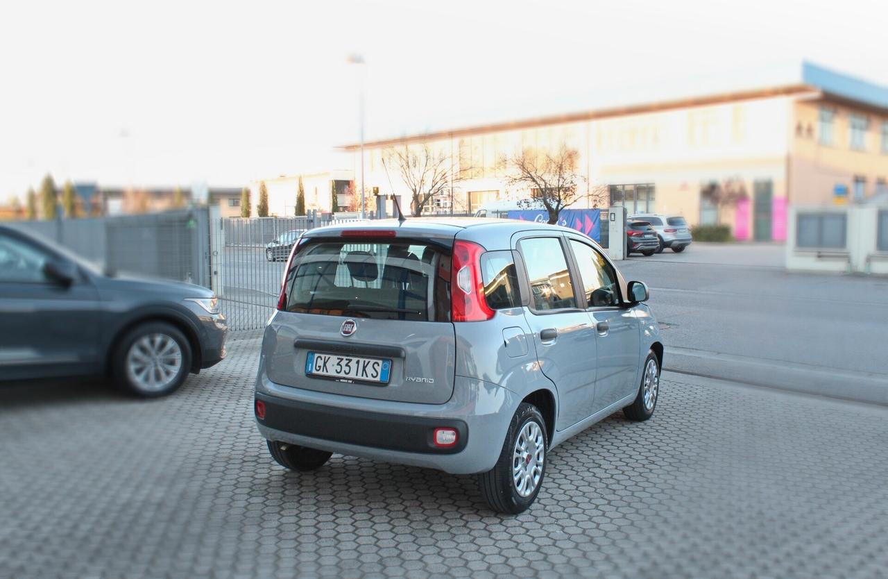 Fiat Panda 1.0 FireFly S&S Hybrid-OK NEOPATENTATI