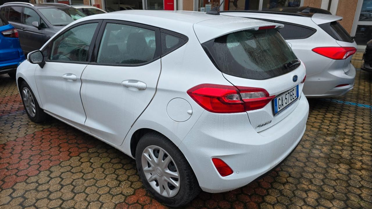 Ford Fiesta 1.0 Ecoboost Hybrid 125 CV 5 porte Business