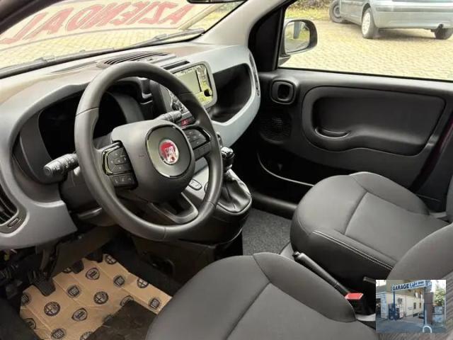 FIAT - Panda - 1.0 FireFly S&S Hybrid Launch Ed.