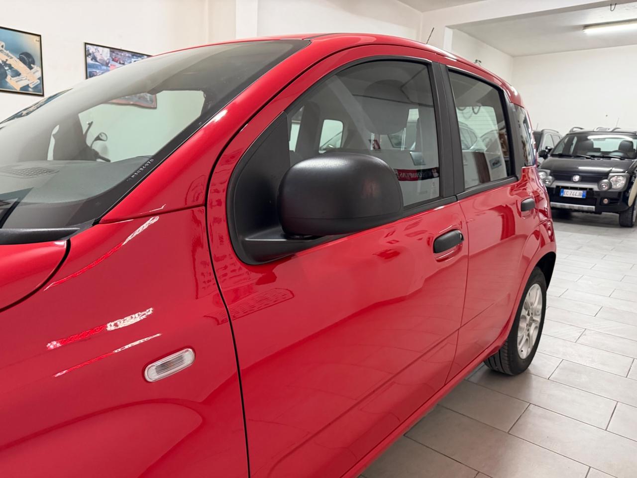 Fiat Panda 1.0 FireFly S&S Hybrid/Benzina