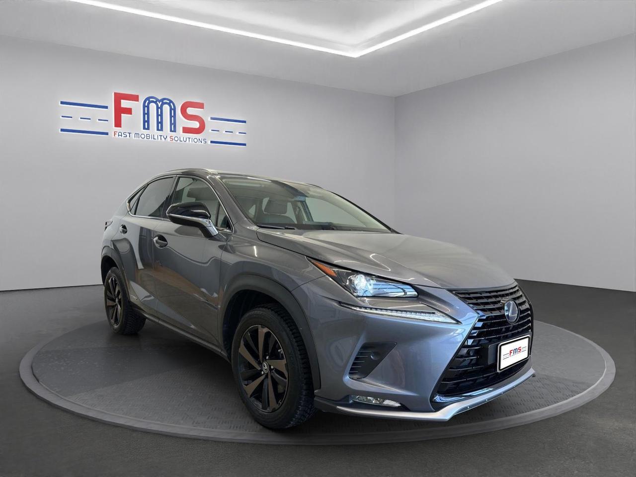 Lexus NX 300h 2.5 Premium 4wd cvt