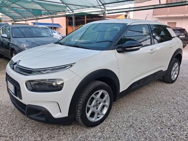 Citroen C4 Cactus 1.5 bluehdi Live s&s 100cv