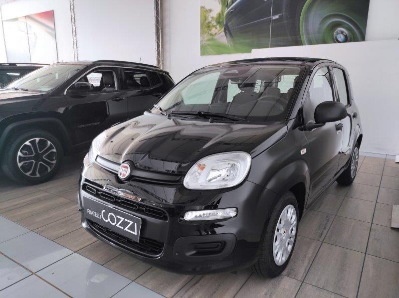 FIAT Pandina - Pandina 1.0 FireFly 65 CV Hybrid Icon