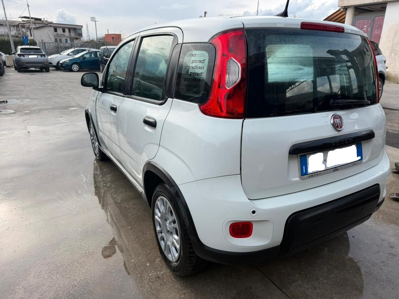 Fiat Panda 1.0 Pandina - 2024